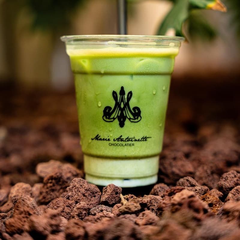 Iced Matcha Latte